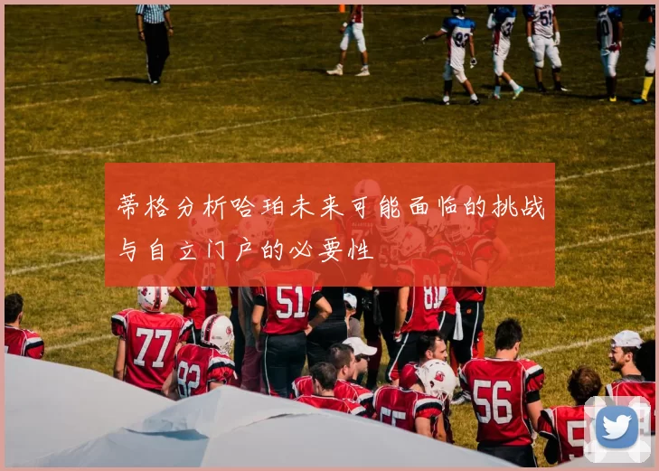 蒂格分析哈珀未来可能面临的挑战与自立门户的必要性